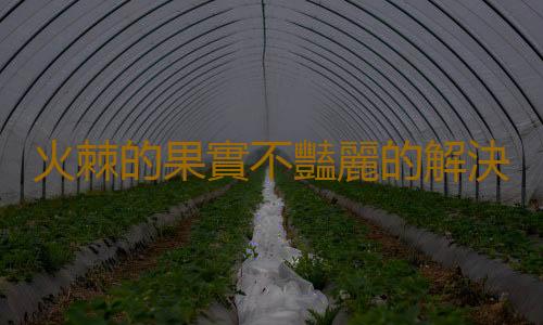火棘的果實不豔麗的解決方法