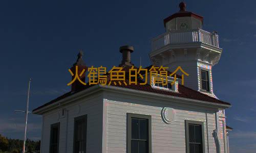 火鶴魚的簡介