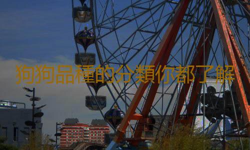 狗狗品種的分類你都了解嗎？