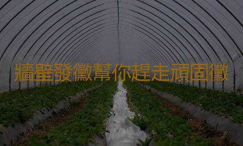 牆壁發黴幫你趕走頑固黴斑 日常簡易處理小竅門