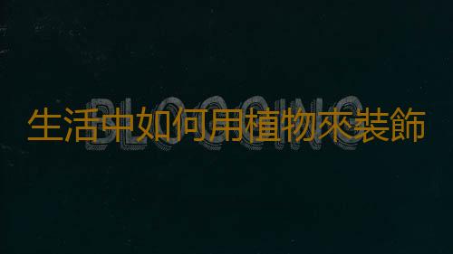 生活中如何用植物來裝飾客廳
