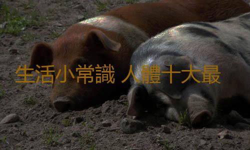 生活小常識 人體十大最不尋常秘密