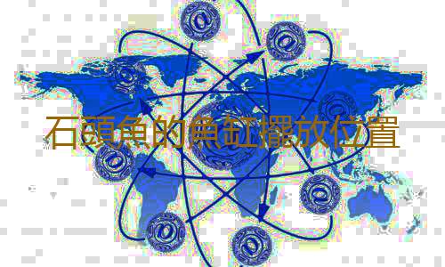 石頭魚的魚缸擺放位置