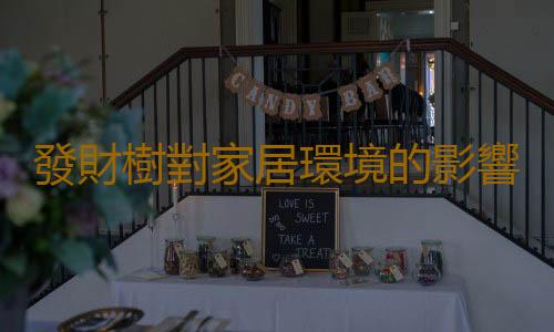 發財樹對家居環境的影響