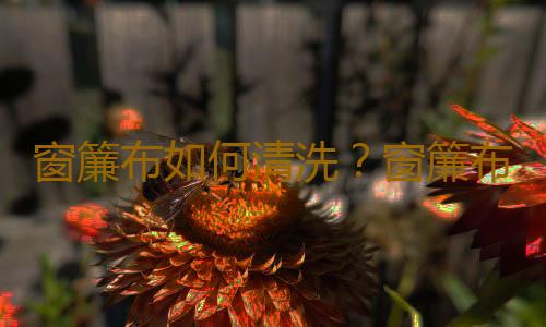 窗簾布如何清洗？窗簾布的選擇方法