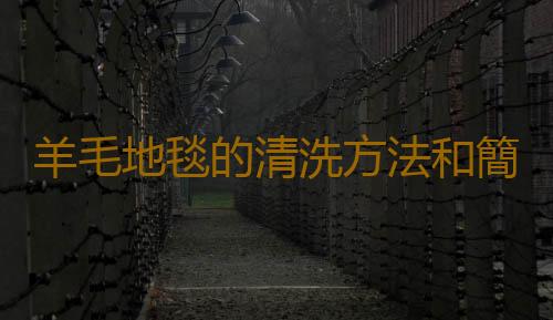 羊毛地毯的清洗方法和簡介