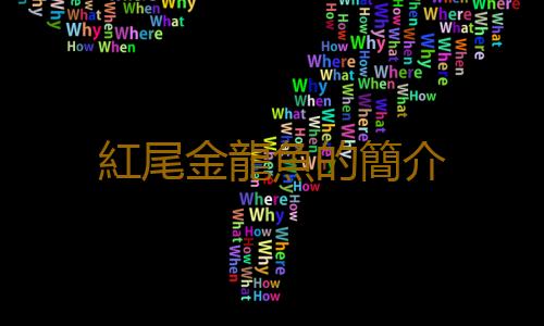 紅尾金龍魚的簡介