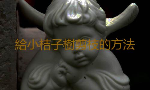 給小桔子樹剪枝的方法