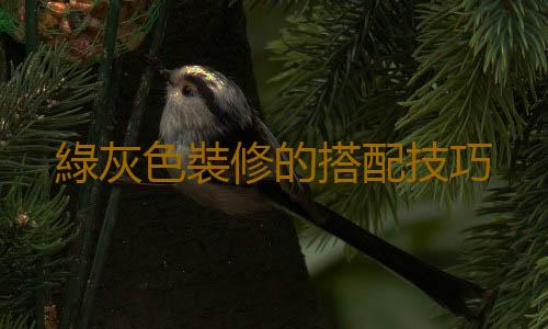 綠灰色裝修的搭配技巧