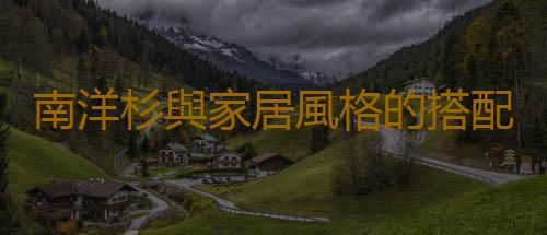 南洋杉與家居風格的搭配