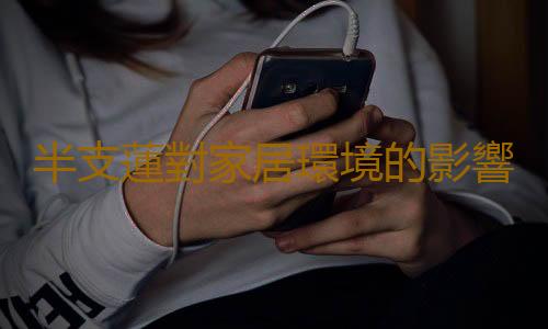 半支蓮對家居環境的影響
