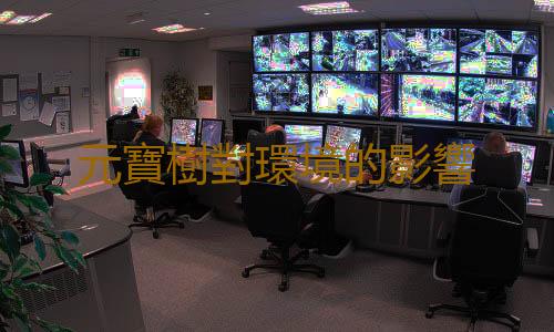 元寶樹對環境的影響
