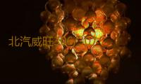 北汽威旺306/307滑輪中側門上中下合頁鉸鏈導輪走輪汽車滑輪配件