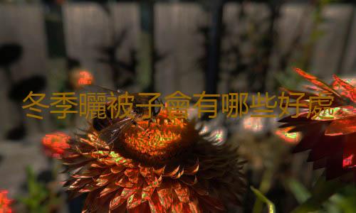 冬季曬被子會有哪些好處呢