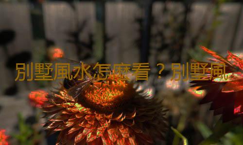 別墅風水怎麽看？別墅風水布局禁忌