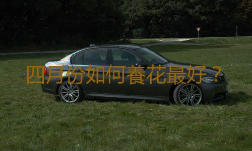 四月份如何養花最好？