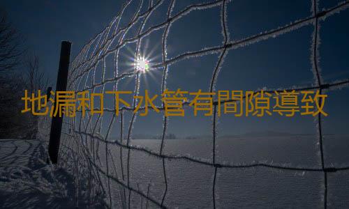 地漏和下水管有間隙導致漏水改怎麽辦 樓上馬桶下水管道漏水怎麽處理