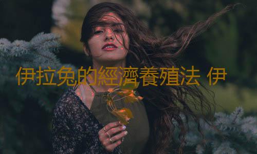伊拉兔的經濟養殖法 伊拉兔的喂養