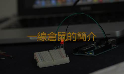 一線倉鼠的簡介