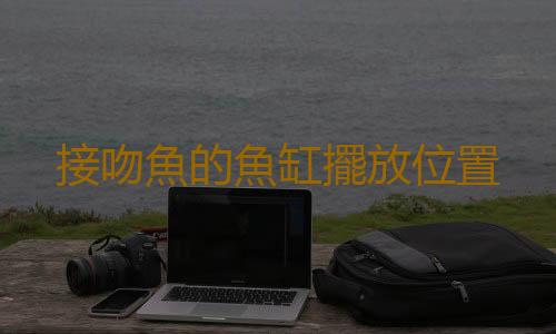 接吻魚的魚缸擺放位置