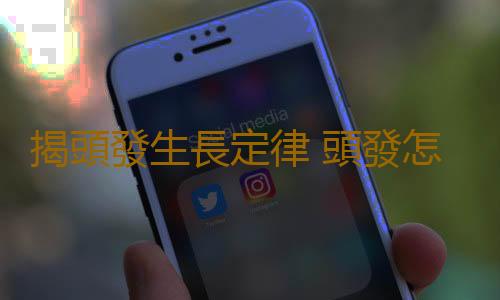 揭頭發生長定律 頭發怎麽長得快