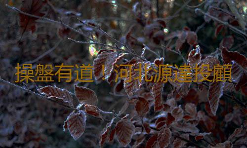 操盤有道！河北源達投顧智能炒股工具一覽