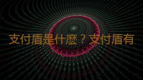 支付盾是什麽？支付盾有必要買嗎？