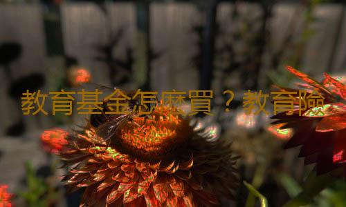 教育基金怎麽買？教育險購買注意事項