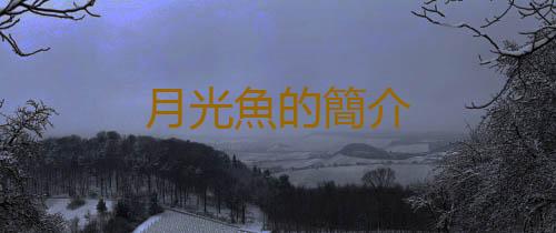 月光魚的簡介