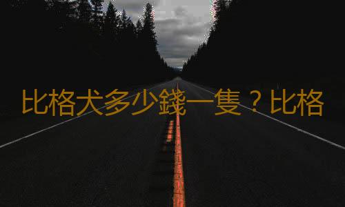 比格犬多少錢一隻？比格犬如何喂養？