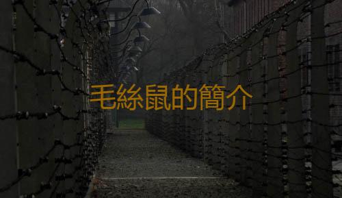 毛絲鼠的簡介