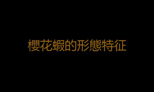 櫻花蝦的形態特征