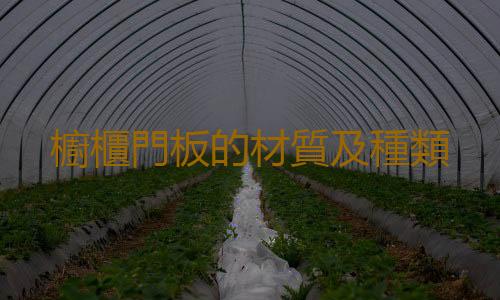 櫥櫃門板的材質及種類