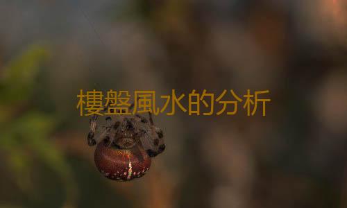 樓盤風水的分析