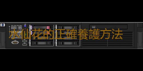 水仙花的正確養護方法 養水仙花的注意事項