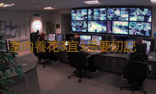 室內養花3宜3忌要切記