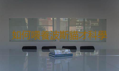 如何喂養波斯貓才科學