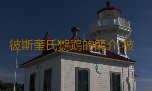 彼斯奎氏鸚鵡的簡介 彼斯奎氏鸚鵡的產地