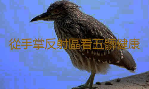 從手掌反射區看五髒健康 快來對照你自己的手看看