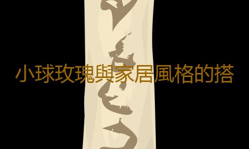 小球玫瑰與家居風格的搭配