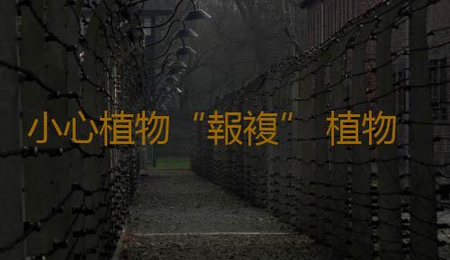 小心植物“報複” 植物也會吃醋