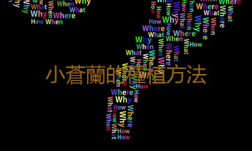 小蒼蘭的種植方法
