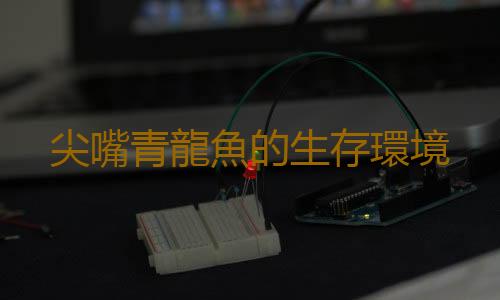 尖嘴青龍魚的生存環境
