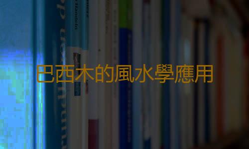 巴西木的風水學應用