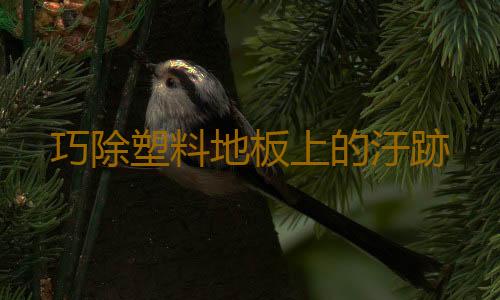 巧除塑料地板上的汙跡