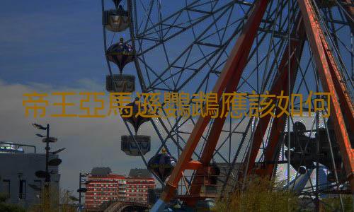帝王亞馬遜鸚鵡應該如何飼養？