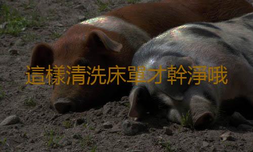這樣清洗床單才幹淨哦