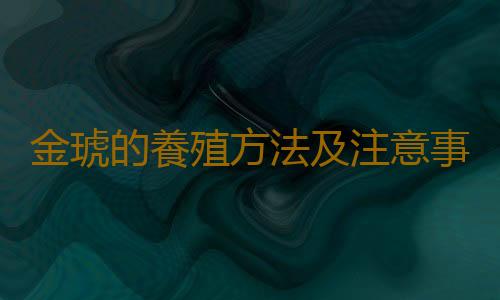 金琥的養殖方法及注意事項
