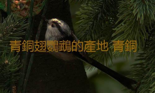 青銅翅鸚鵡的產地 青銅翅鸚鵡的簡介
