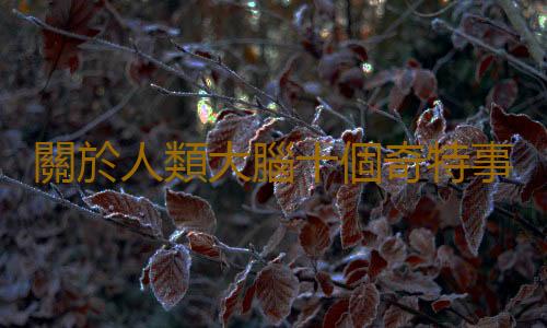 關於人類大腦十個奇特事實